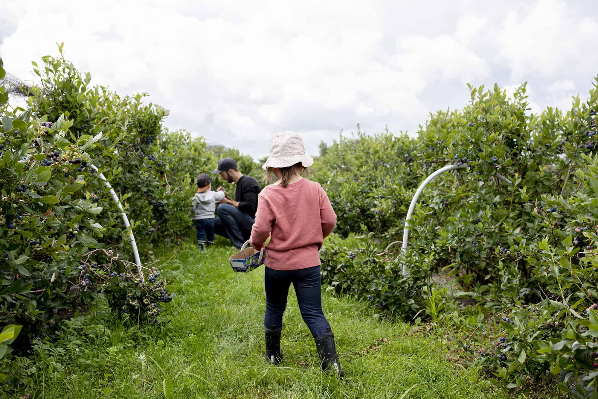 Événements Lotbinière,Événements région Lotbinière,Activités locales,Festivals régionaux,Sorties culturelles,Calendrier d'événements,Divertissement en Lotbinière,Programmation culturelle,Festivités locales,Spectacles régionaux,Loisirs et divertissements.,evenements-a-venir