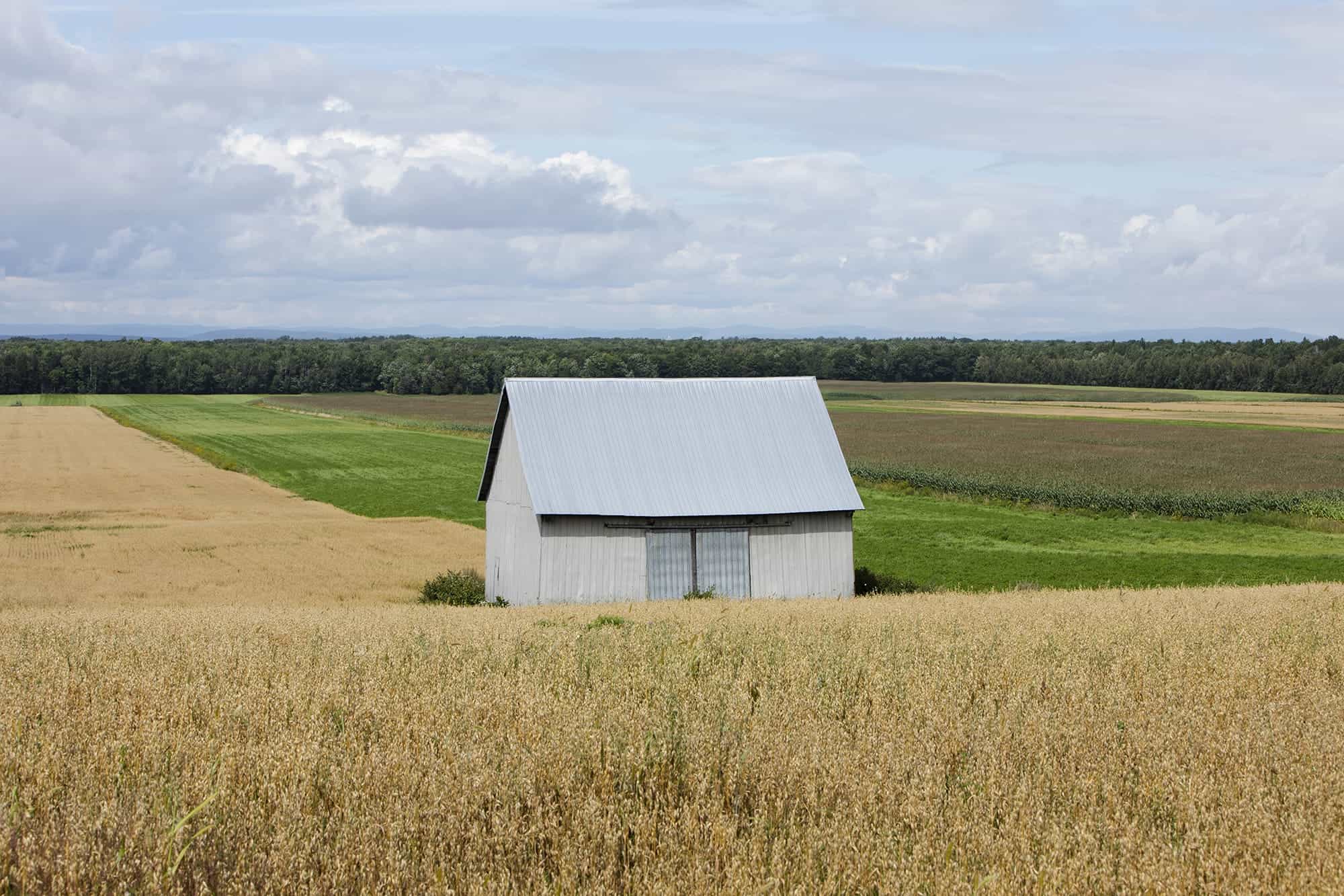 Portrait du territoire,Portrait du territoire de la MRC de Lotbinière,Lotbinière à travers histoire,Histoire de Lotbinière,Paysages diversifiés,Activités en plein air,Gastronomie locale,Patrimoine culturel,Vie communautaire,Opportunités en Lotbinière