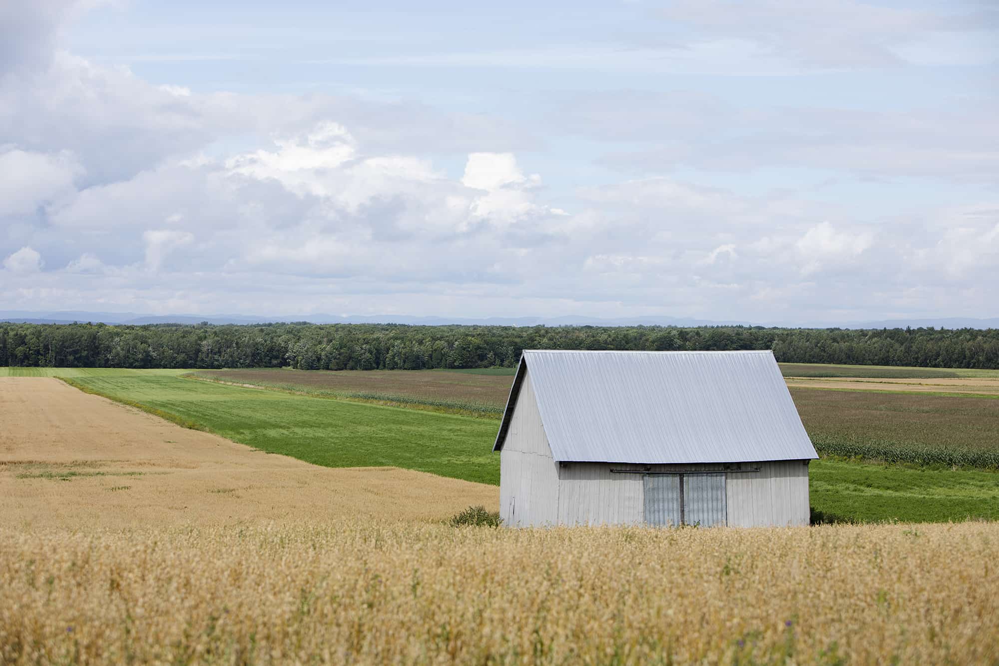 Paysage d'une veille grange dans un champs.