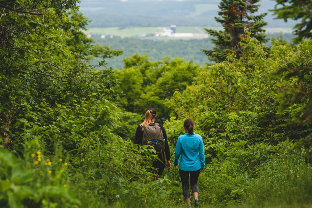 Deux personnes marchant dans une forêt verdoyante