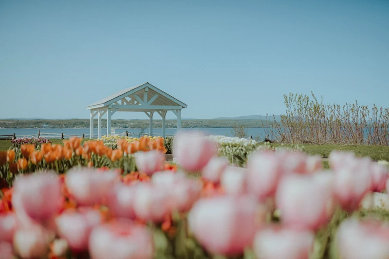 Autocueillette et fleurs