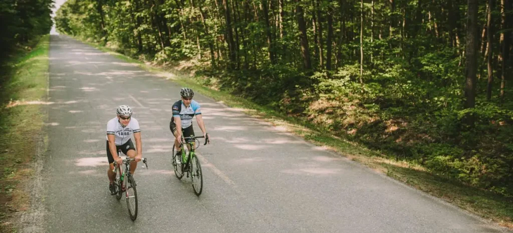 Deux cyclistes sur une route forestière.