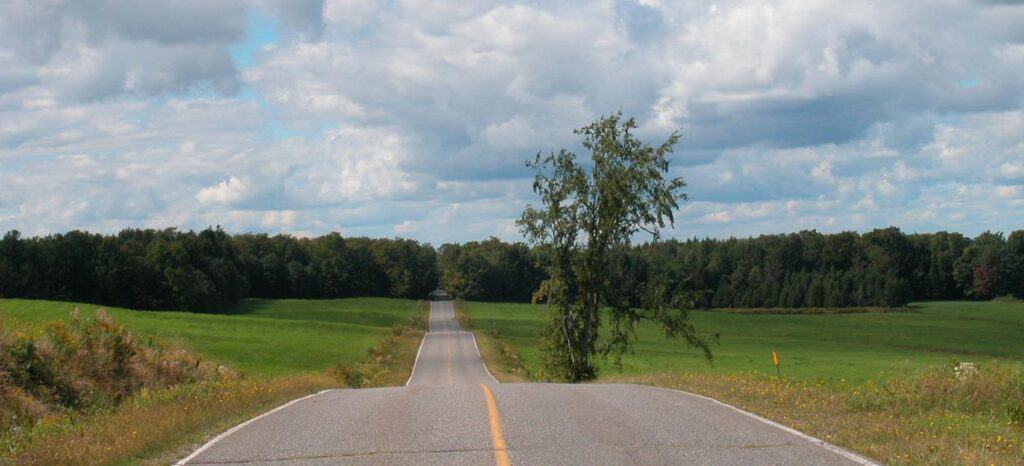 Route de campagne traversant champs verts et forêt.