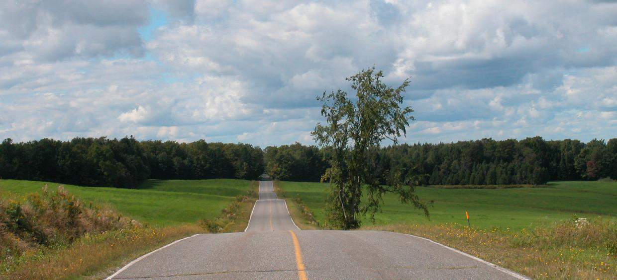 Route de campagne traversant champs verts et forêt.