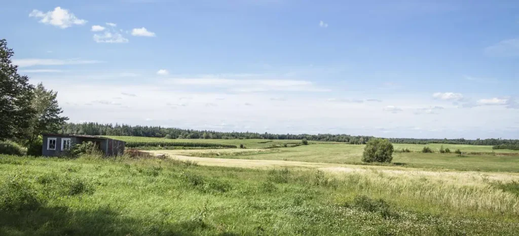 Paysage champêtre avec cabanon et ciel bleu