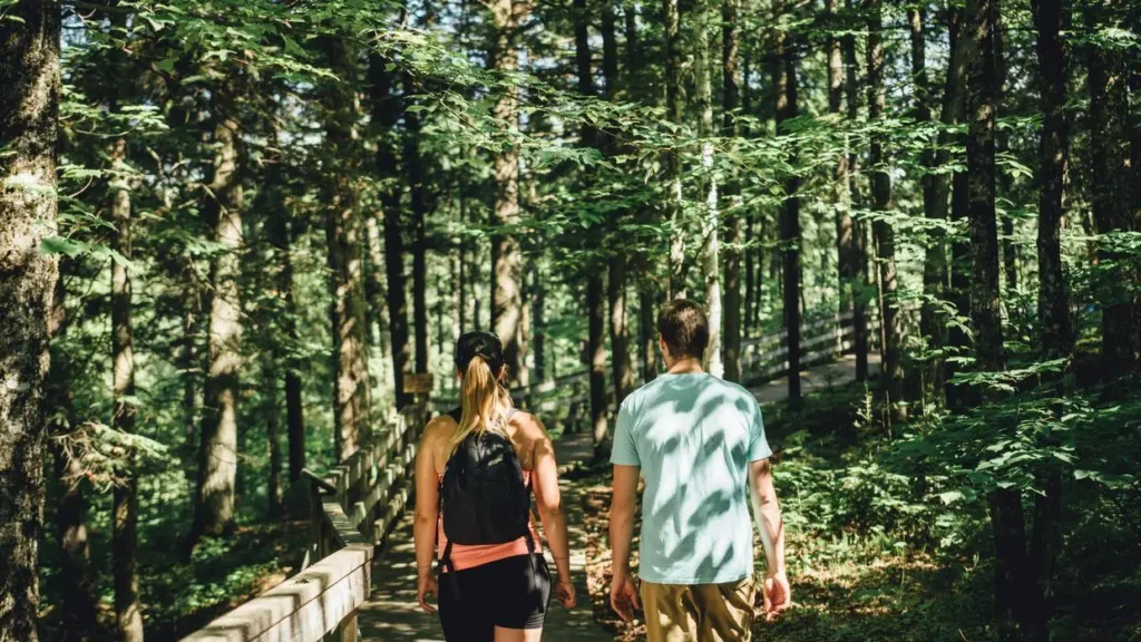 Deux personnes marchant dans une forêt verdoyante.