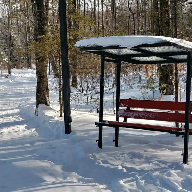 Banc sous abri, forêt enneigée en hiver