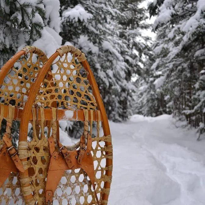Raquettes sur chemin enneigé en forêt.