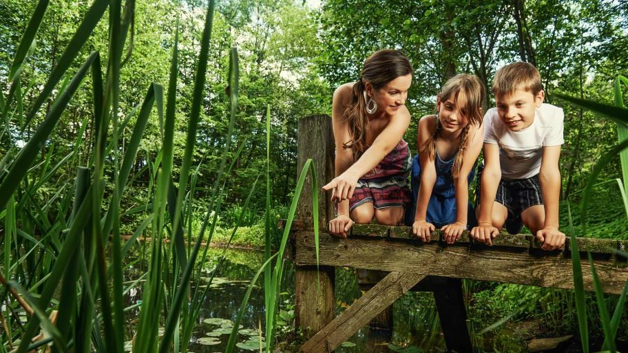 Famille observant la nature près d'un étang forestier.