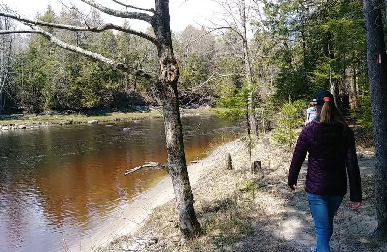 Randonnée en forêt le long de la rivière.