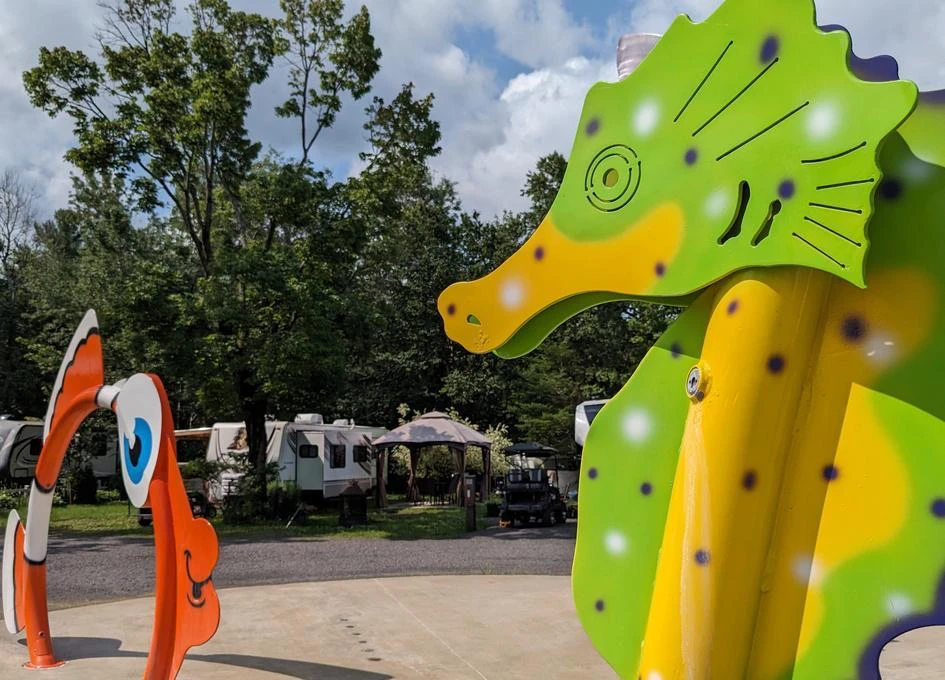 Aire de jeux aquatique avec animaux colorés