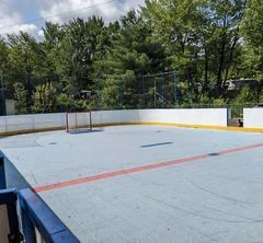 Terrain de hockey extérieur vide entouré d'arbres
