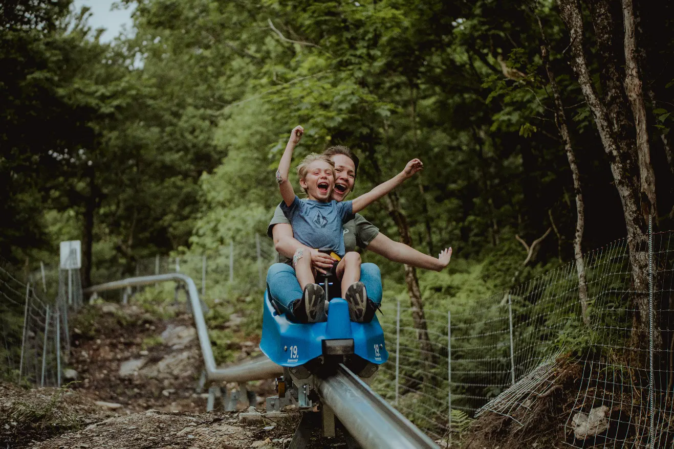 Montagnes russes dans la forêt, amusement et joie.