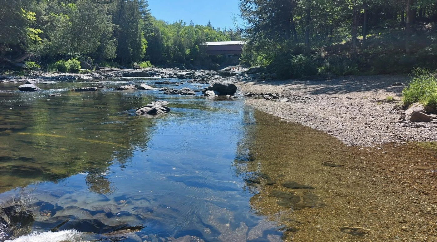 Rivière calme avec pont couvert et arbres.