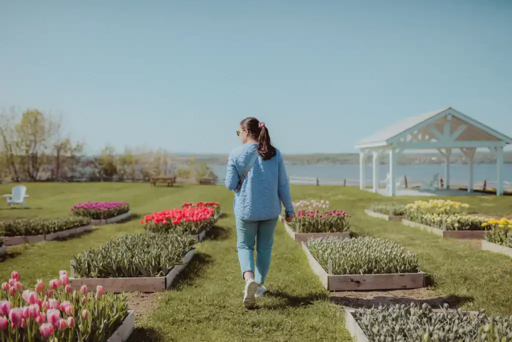 Autocueillette florale