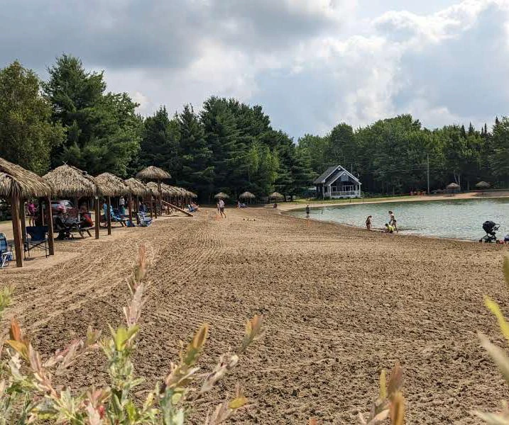 Plage de sable avec parasols et forêt environnante.