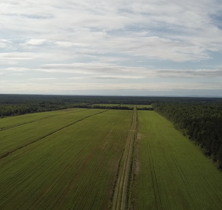 Vue aérienne de champs et forêt.