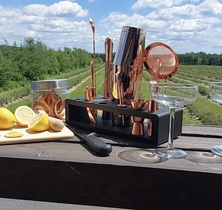 Ensemble cocktails cuivre, citron et vue sur champs
