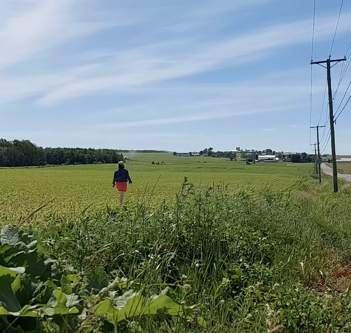 Personne marchant dans un champ vaste sous un ciel bleu.