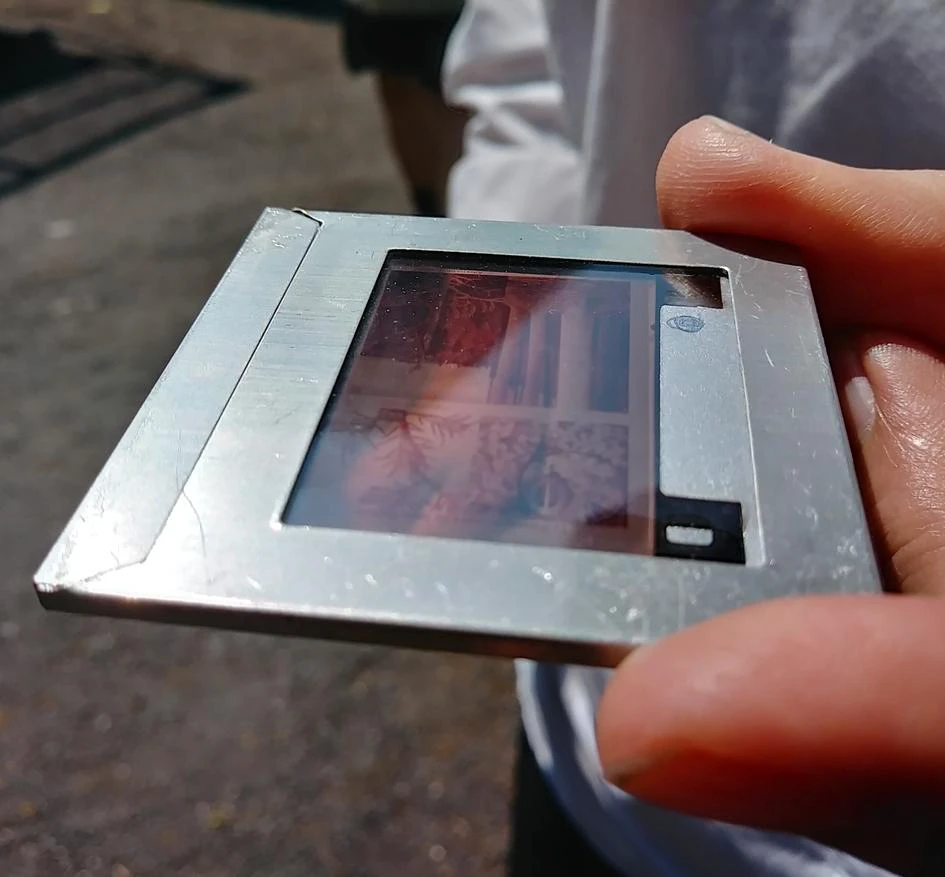 Main tenant une diapositive photo métallique.