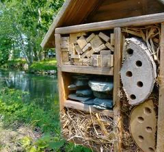 Hôtel pour insectes au bord d'une rivière.