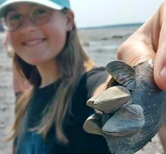 Jeune fille tenant du bois flotté sur la plage.