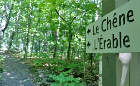 Sentier forestier avec panneau Chêne et Érable