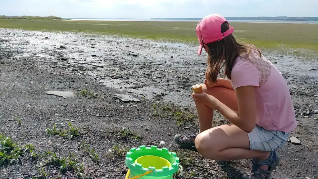 Sentier pédestre sur les battures du fleuve 