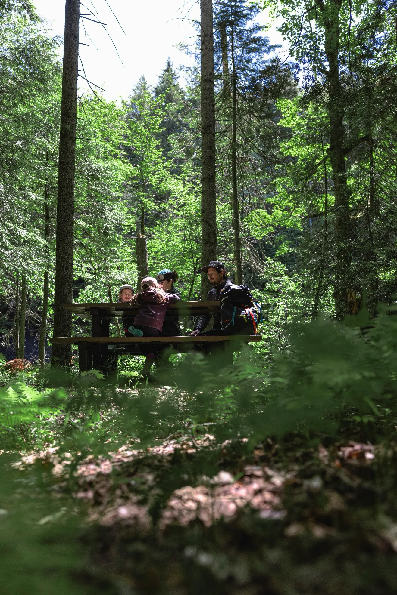 Famille pique-niquant dans une forêt verdoyante