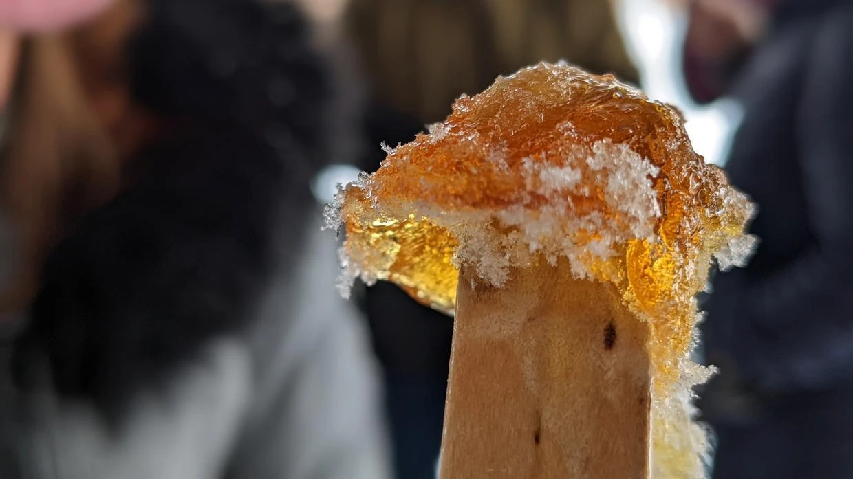 Bâton de tire d'érable en hiver.