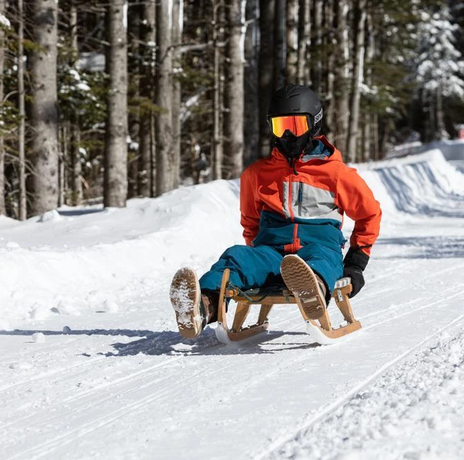Descente en luge autrichienne