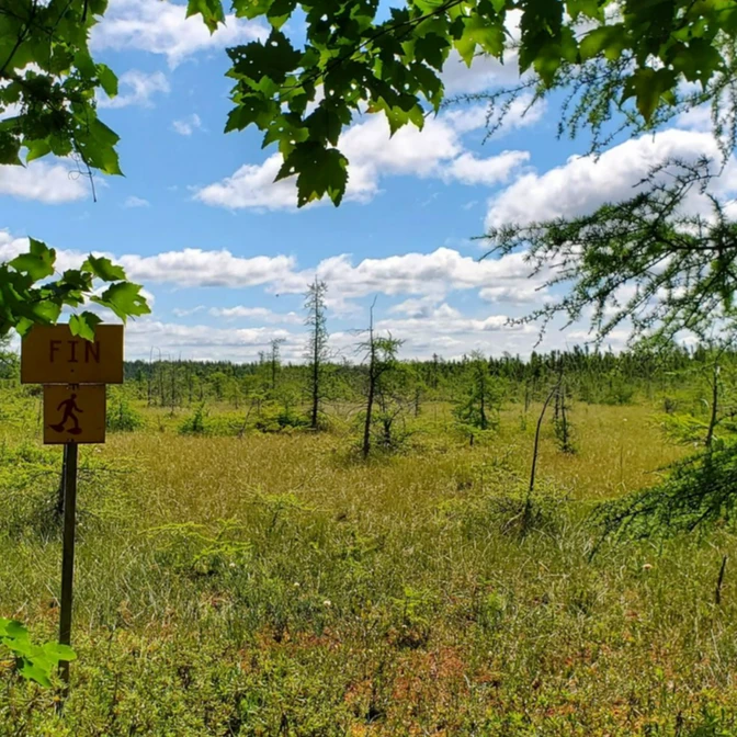Sentier de la Tourbière