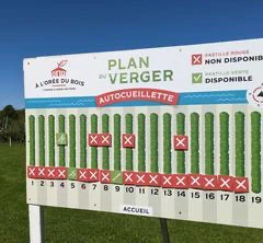 Plan du verger autocueillette, parcelles disponibles