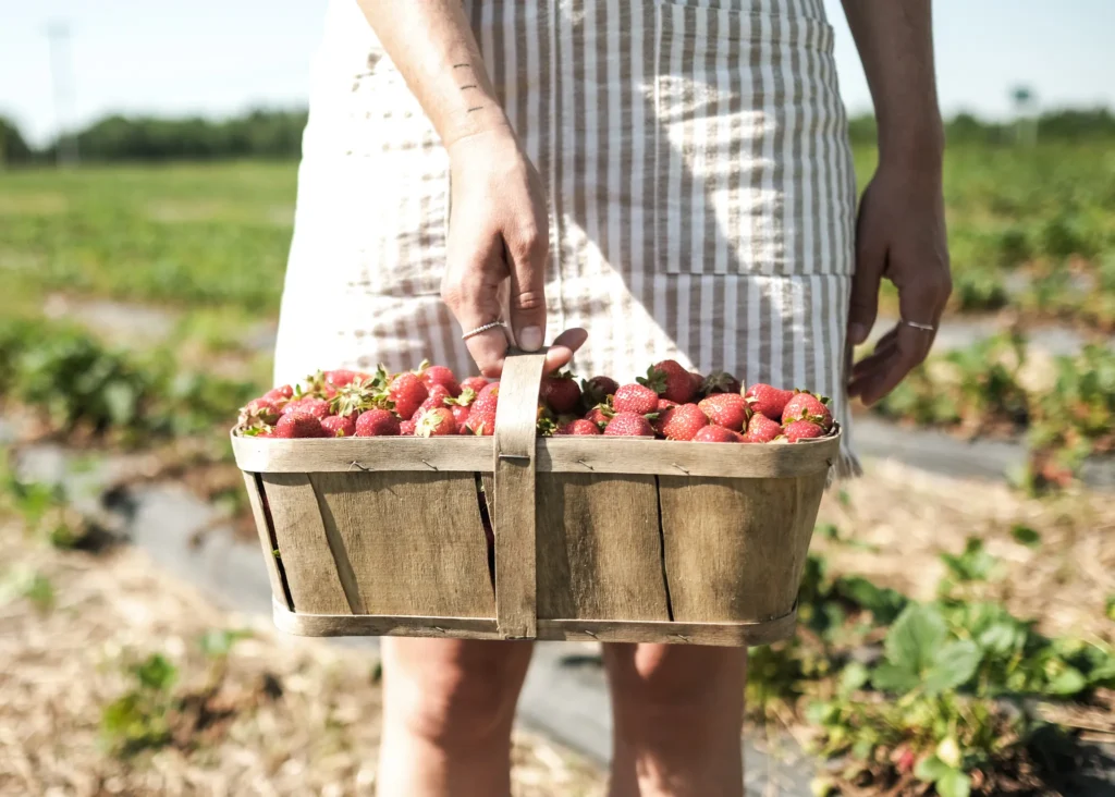 Fraise (juin à août)