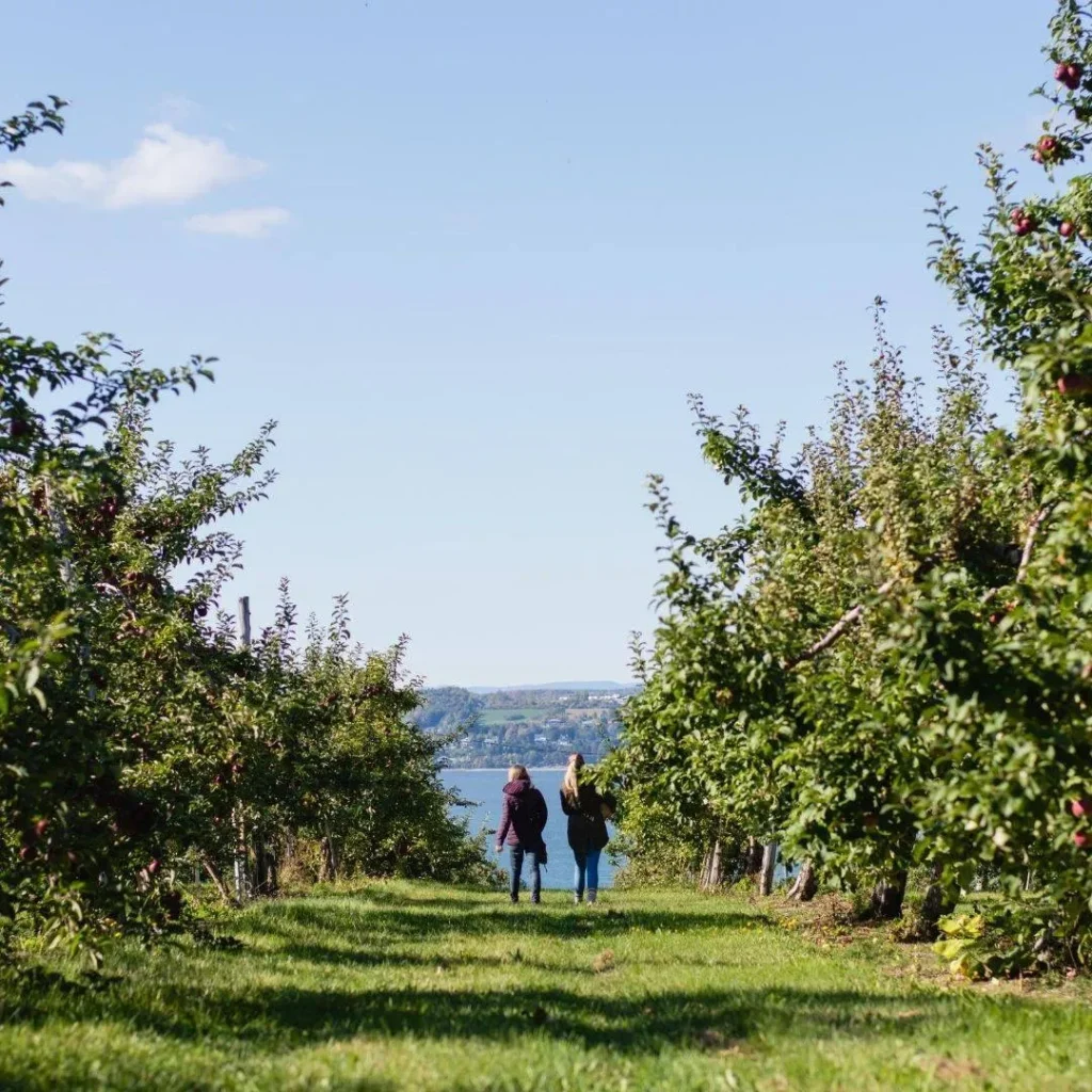 À L'Orée du bois, cidrerie et ferme fruitière