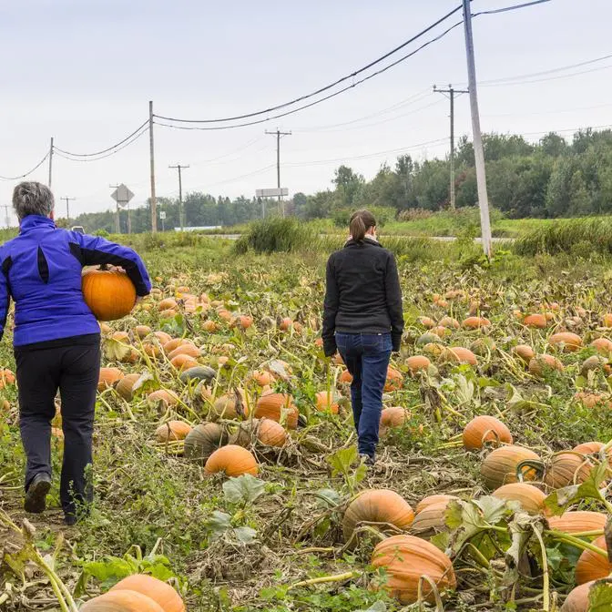 Ferme La Rosée du matin