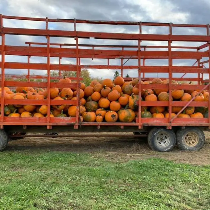 Les asperges Miramel