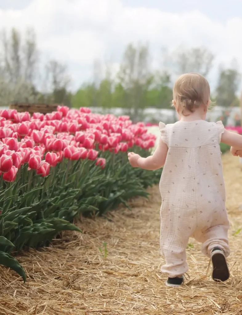 Fleurs (mai, août et septembre)