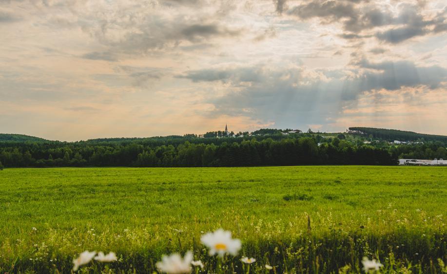 Paysage champêtre avec ciel nuageux et soleil.
