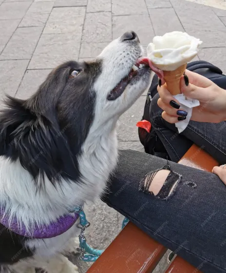 Casse-croûte chez Lizon