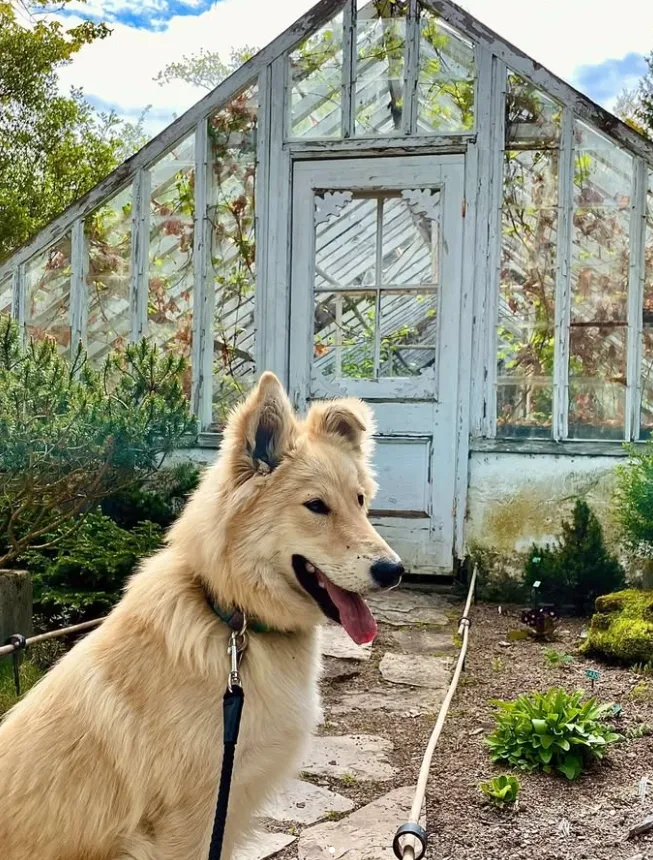Domaine Joly-De Lotbinière