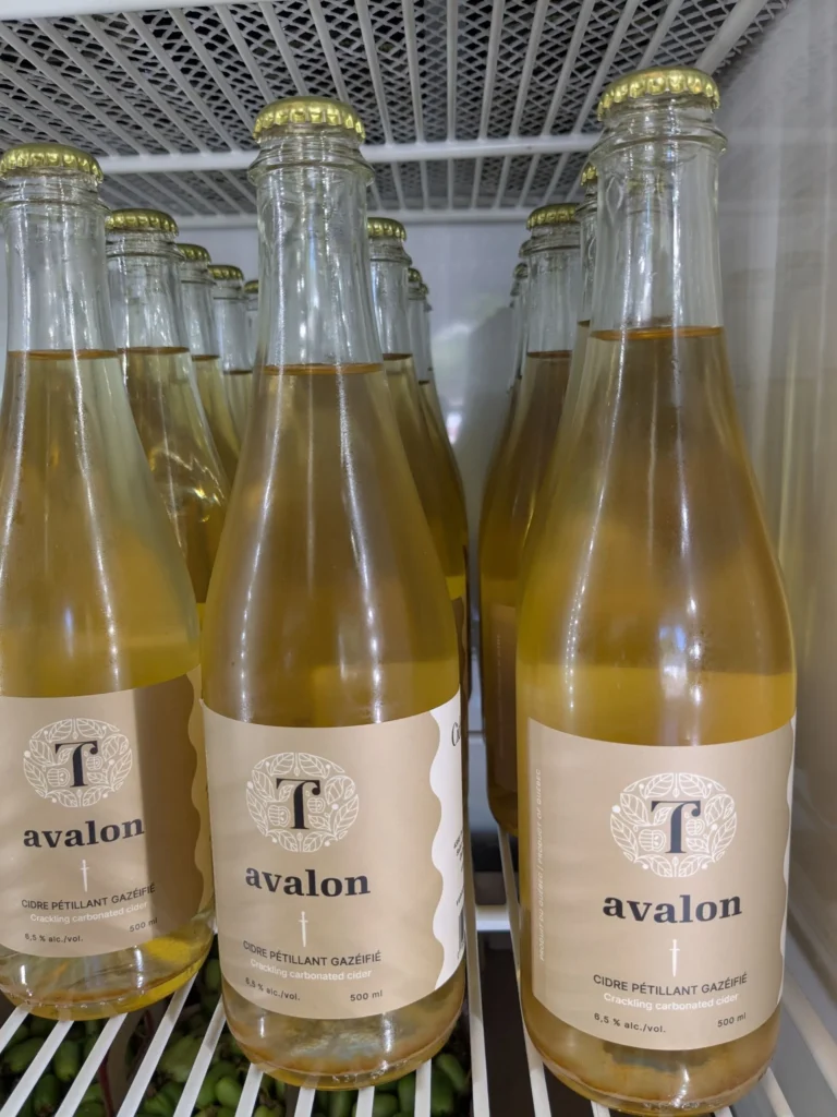 Bouteilles de cidre pétillant Avalon au frigo.