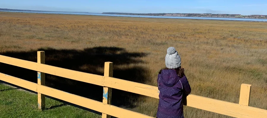 Paysages et composition des sols de la région de Lotbinière